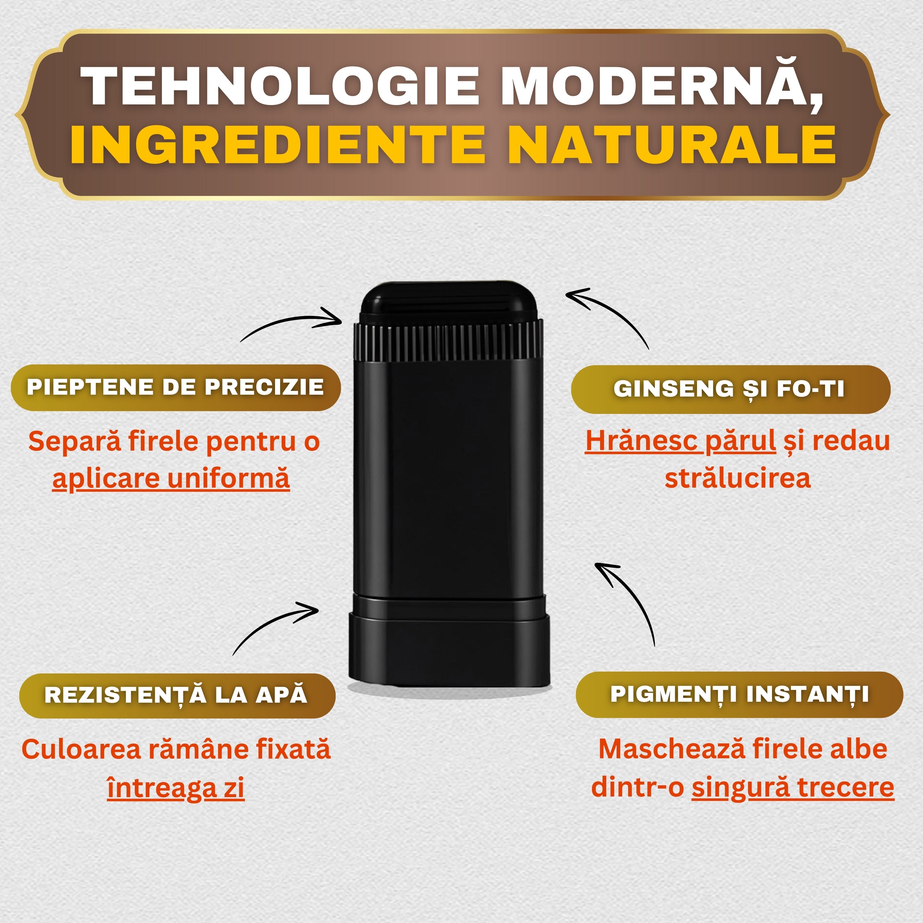 Concept 4 - Editable 1_1.jpg__PID:d5d7fdb4-1e0c-4026-8c01-663b8a3ed372