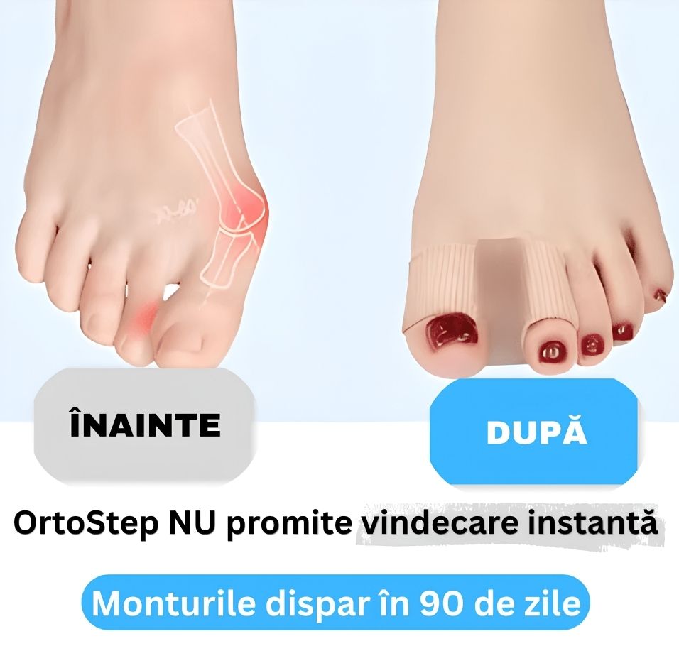 Untitled design.jpg__PID:66a7c218-696d-4e61-b15a-a25c5089ae93